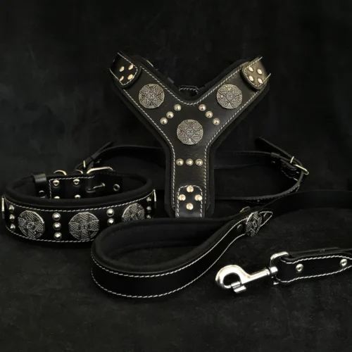 Bėganti Lapė "Maximus Silver" premium rinkinys šunims: petnešos, antkaklis ir pavadėlis