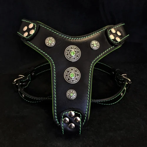 Bėganti Lapė "Bijou" odinės šuns petnešos - Black & Green
