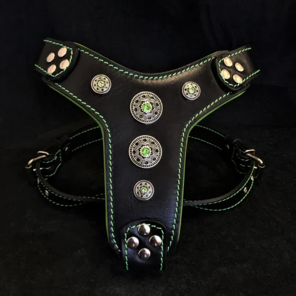 Bėganti Lapė "Bijou" odinės šuns petnešos - Black & Green